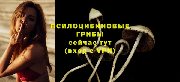а пвп мука Зеленокумск