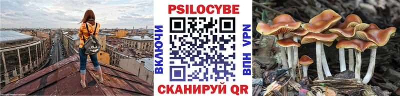 Галлюциногенные грибы мухоморы  Купить где  Дорогобуж 